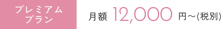 プレミアムプラン月額12,000円